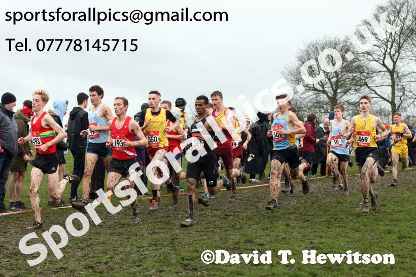 Senior boys 2019 New Balance English Schools Cross Country Champs, Temple Newsam, Leeds. Photo:  David T. Hewitson/Sports for All Pics